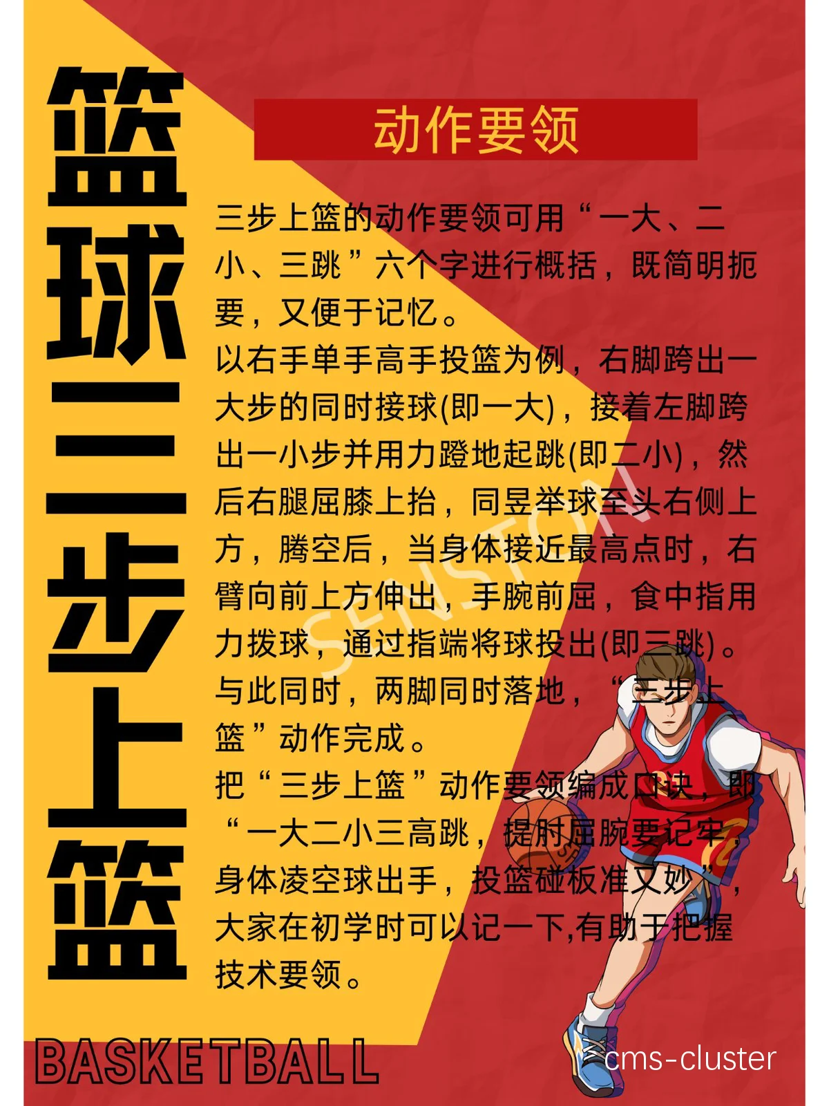 为什么篮球训练中需要科学的方法